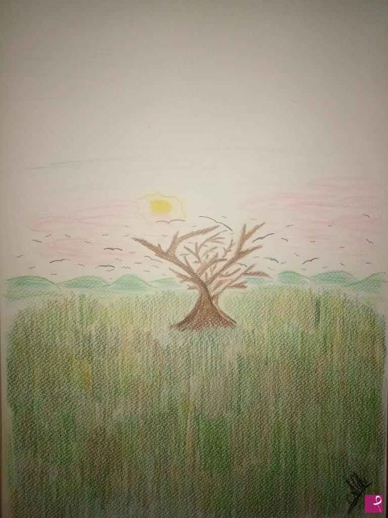 quadri in vendita online - Albero solitario
