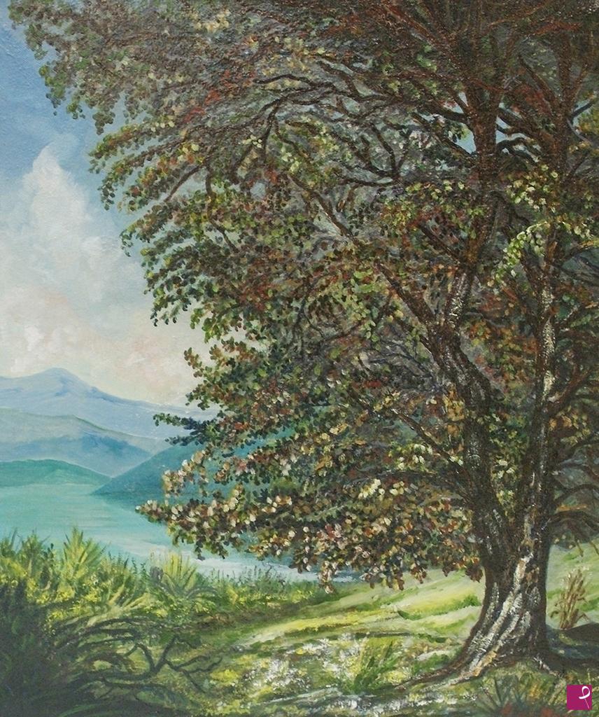 quadri in vendita online - ALBERO SUL LAGO MAGGIORE