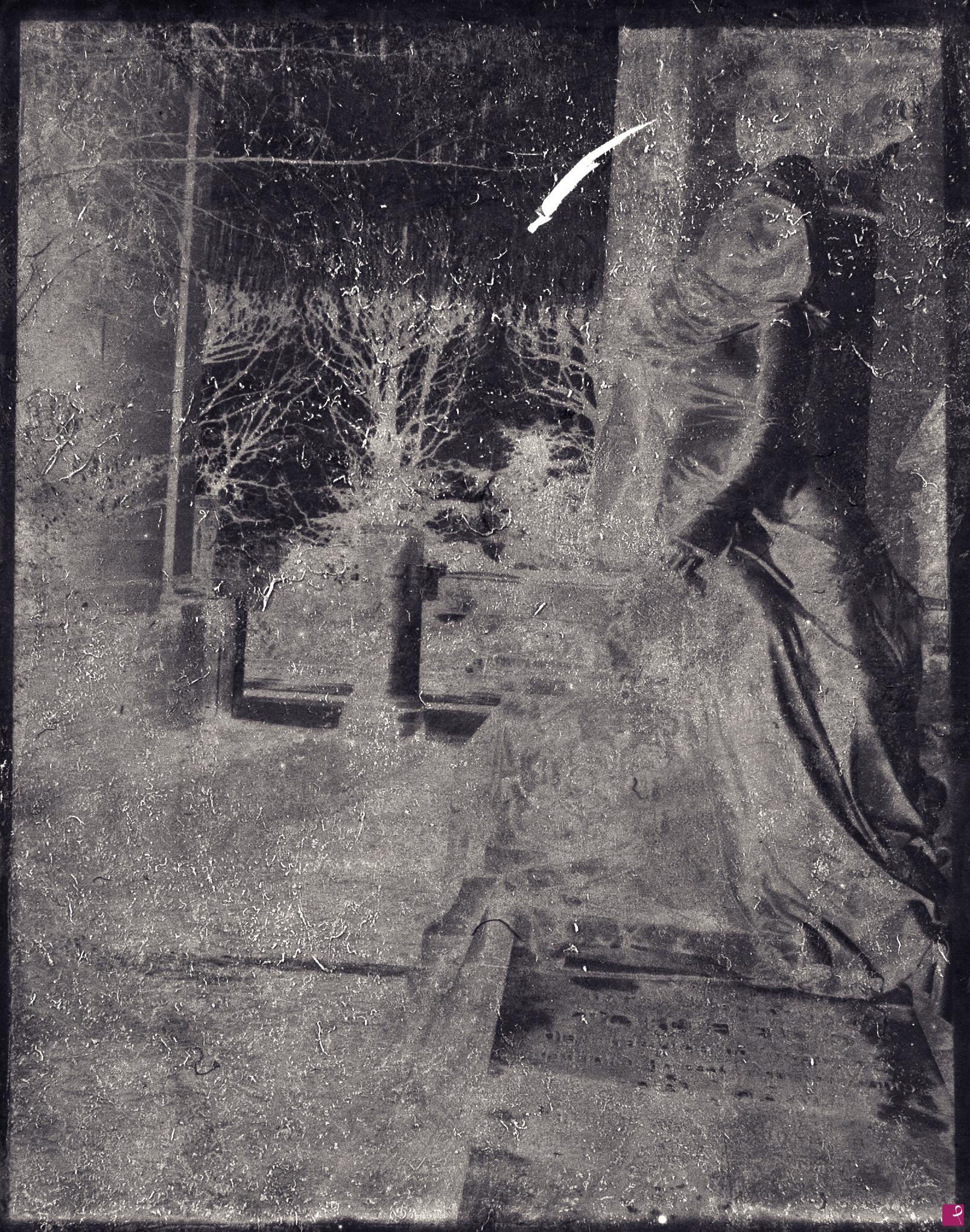 quadri in vendita online - ALDILA' - collezione di immagini fotografiche (12) realizzate al Père Lachaise a Parigi 