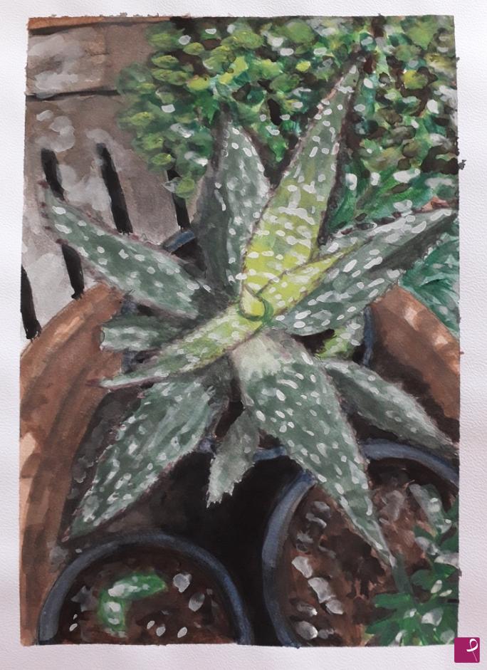 quadri in vendita online - Aloe