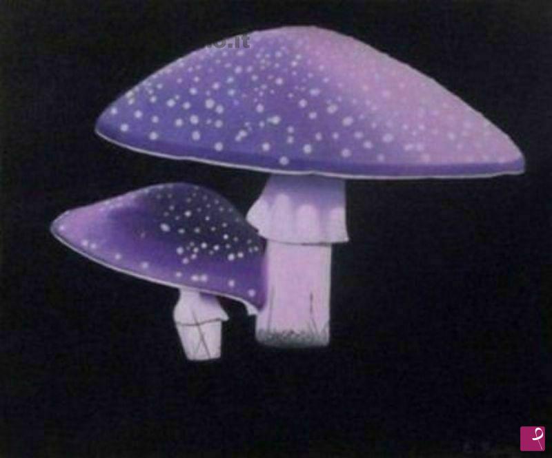 quadri in vendita online - Amanita Muscaria
