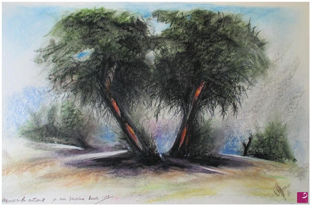 quadri in vendita online - amare la natura