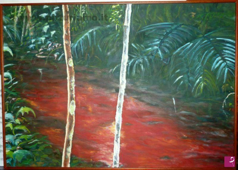 quadri in vendita online - amazzonia
