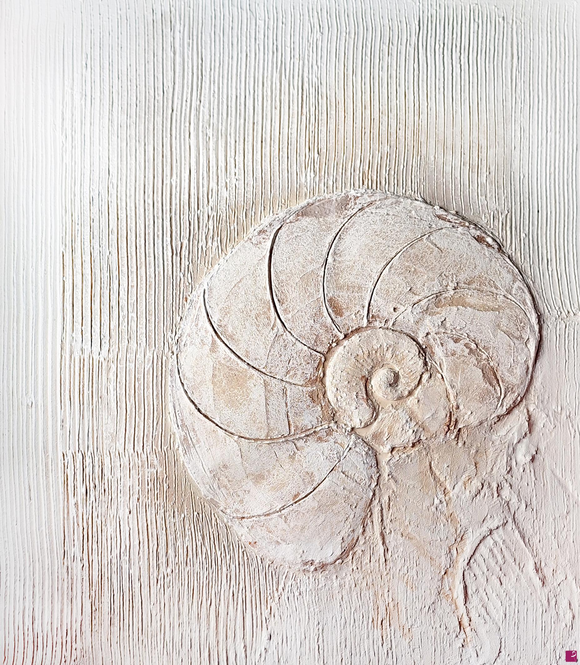quadri in vendita online - Ammonite