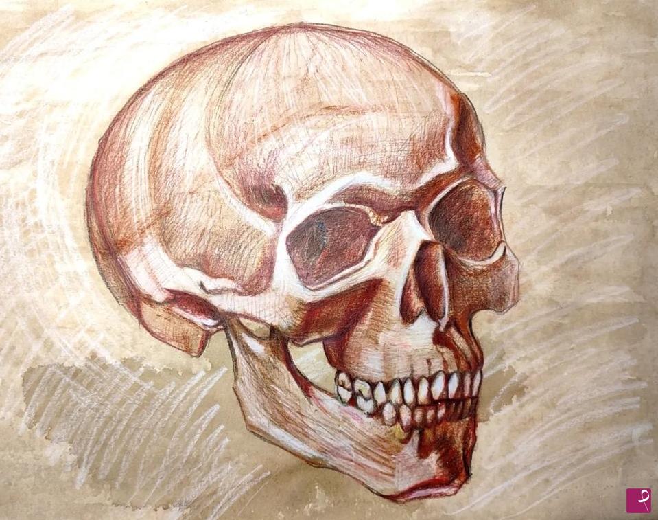 quadri in vendita online - Anatomia