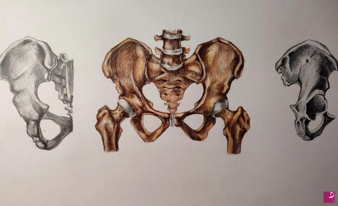 quadri in vendita online - Anatomia 