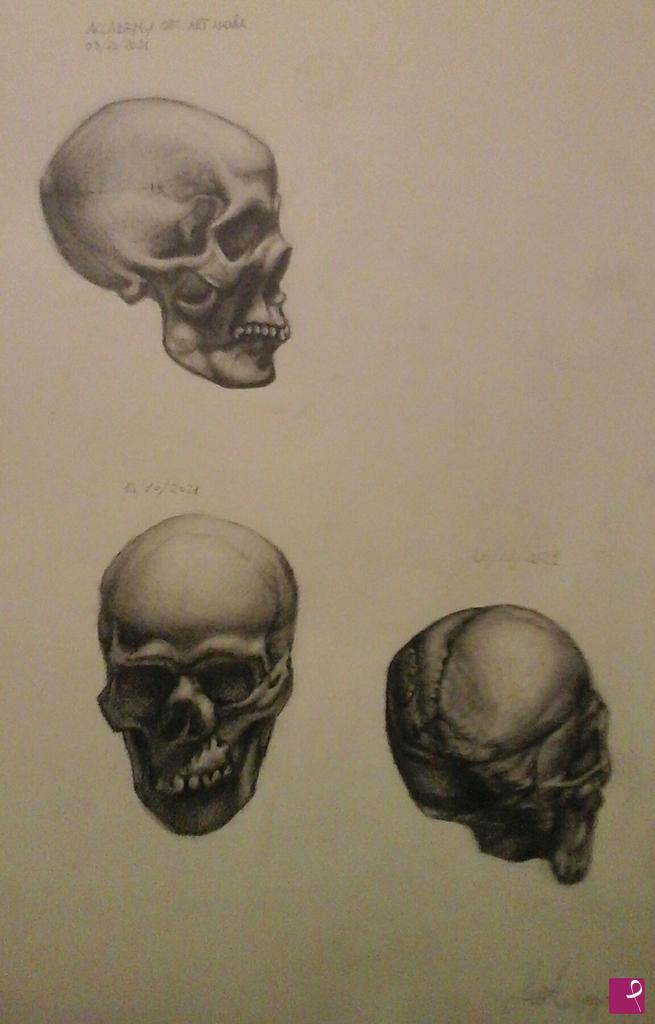 quadri in vendita online - Anatomia umana
