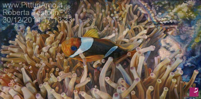 quadri in vendita online - Anemone e pesce Pagliaccio