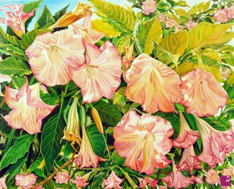 quadri in vendita online - Angel's trumpets