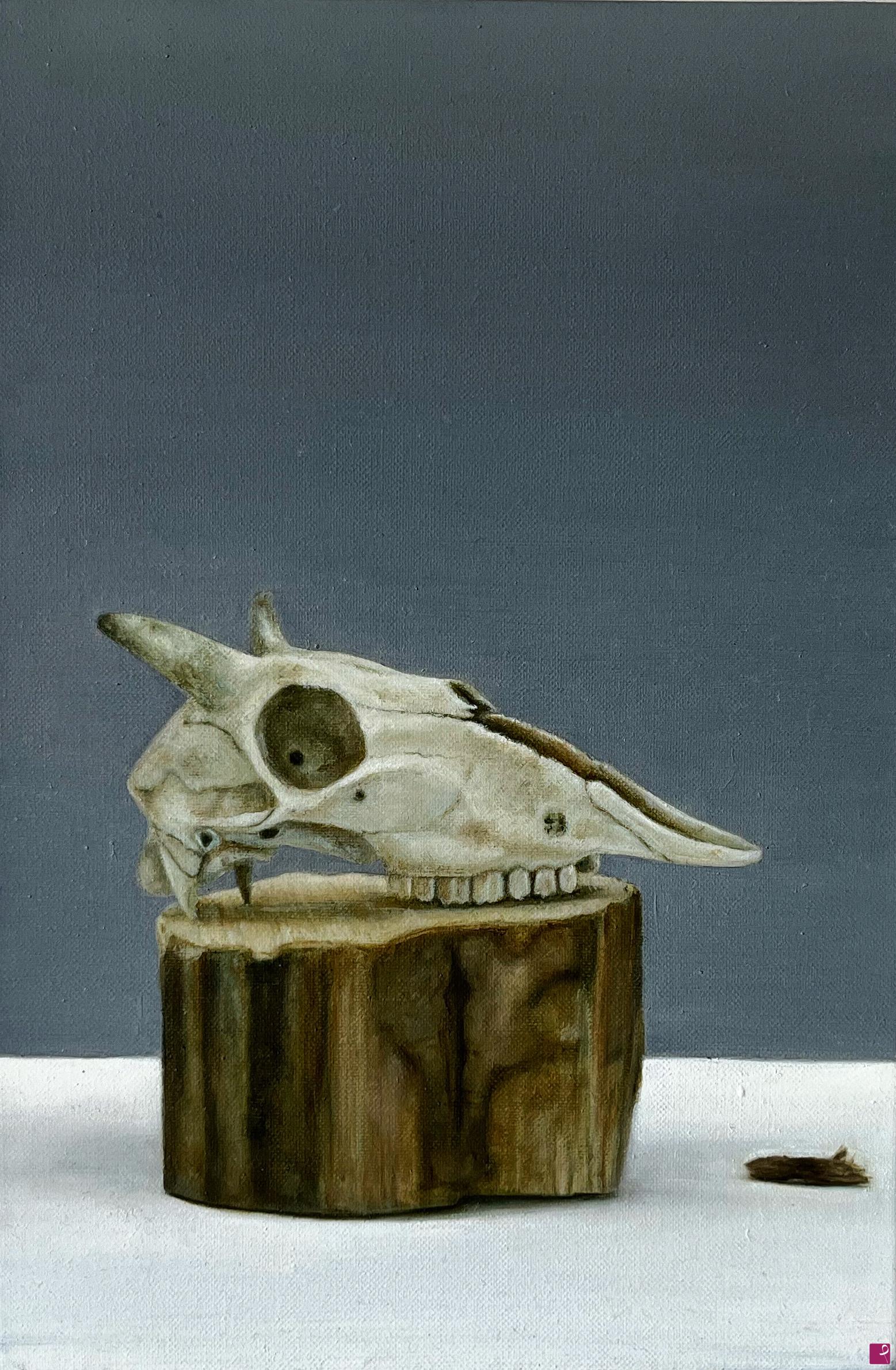 quadri in vendita online - Animal Skull