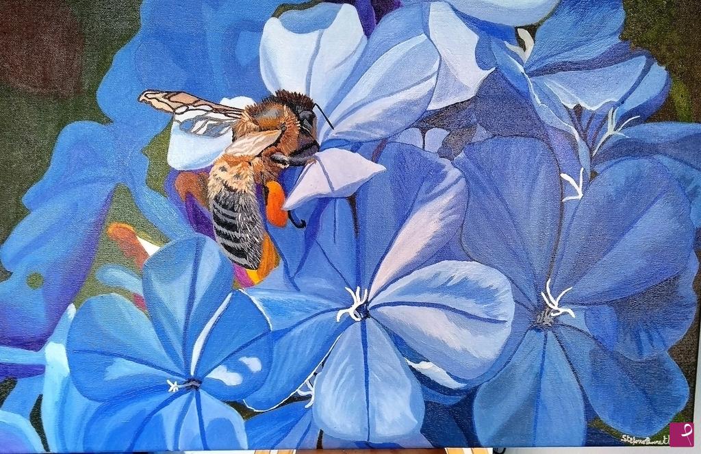 quadri in vendita online - Ape su fiore di Plumbago