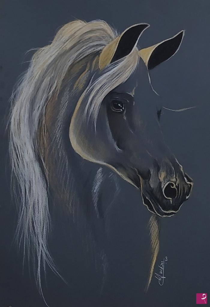 quadri in vendita online - Arabian horse