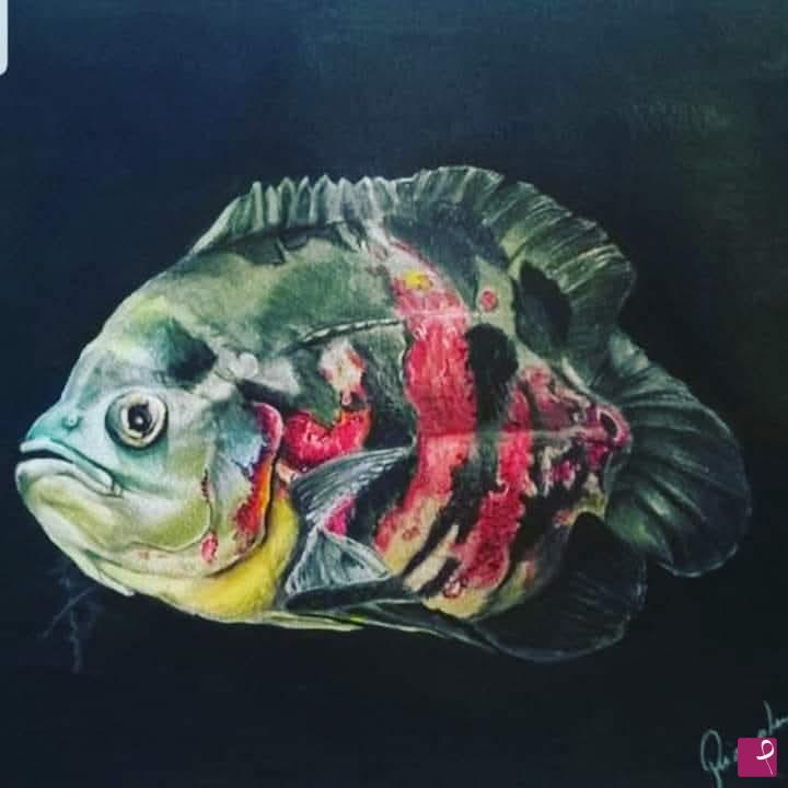 quadri in vendita online - Astronotus 