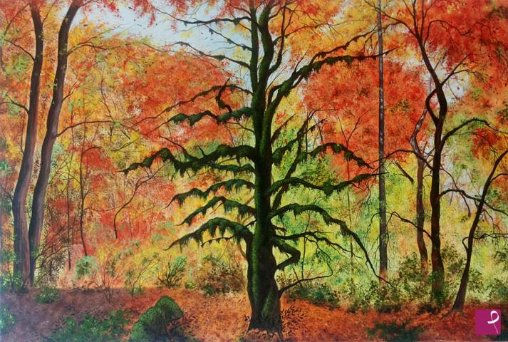 quadri in vendita online - Autunno in Val Senaiga (Lamon)