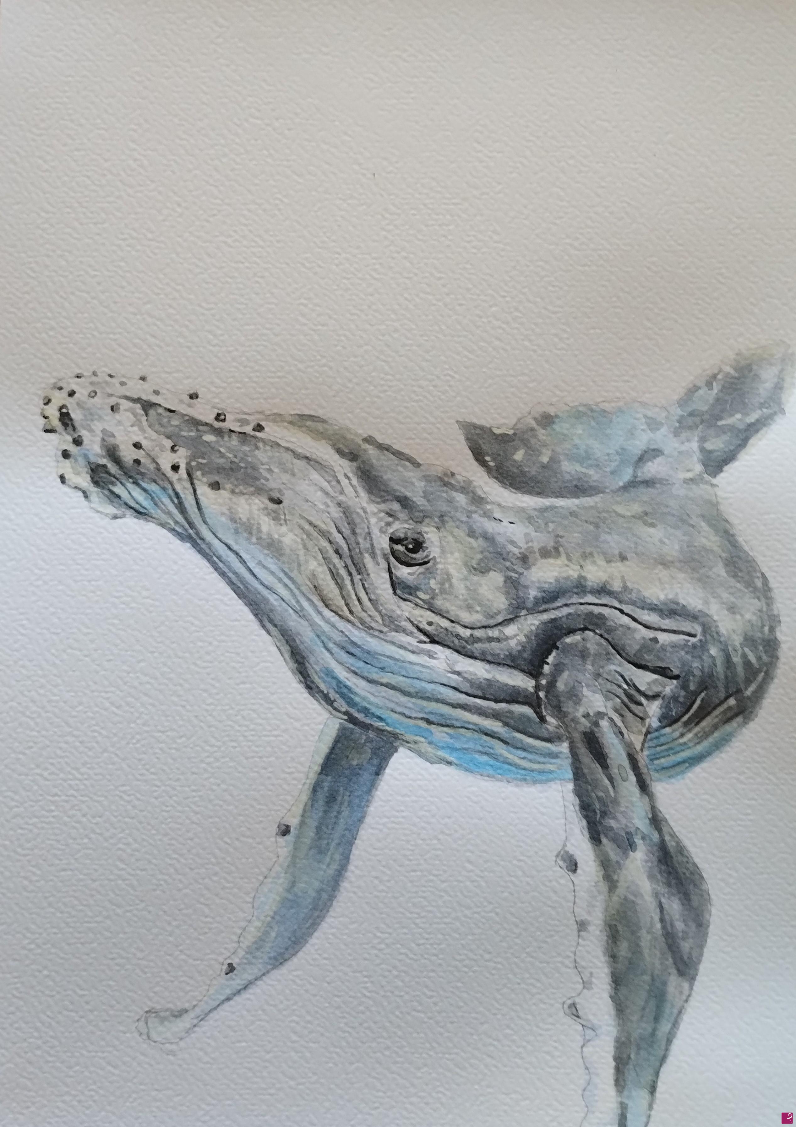 quadri in vendita online - Balena