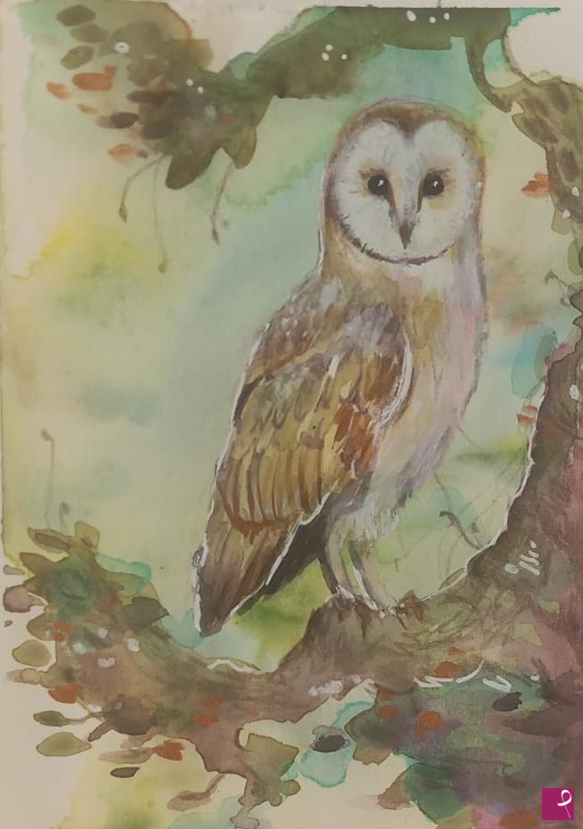 quadri in vendita online - Barn owl