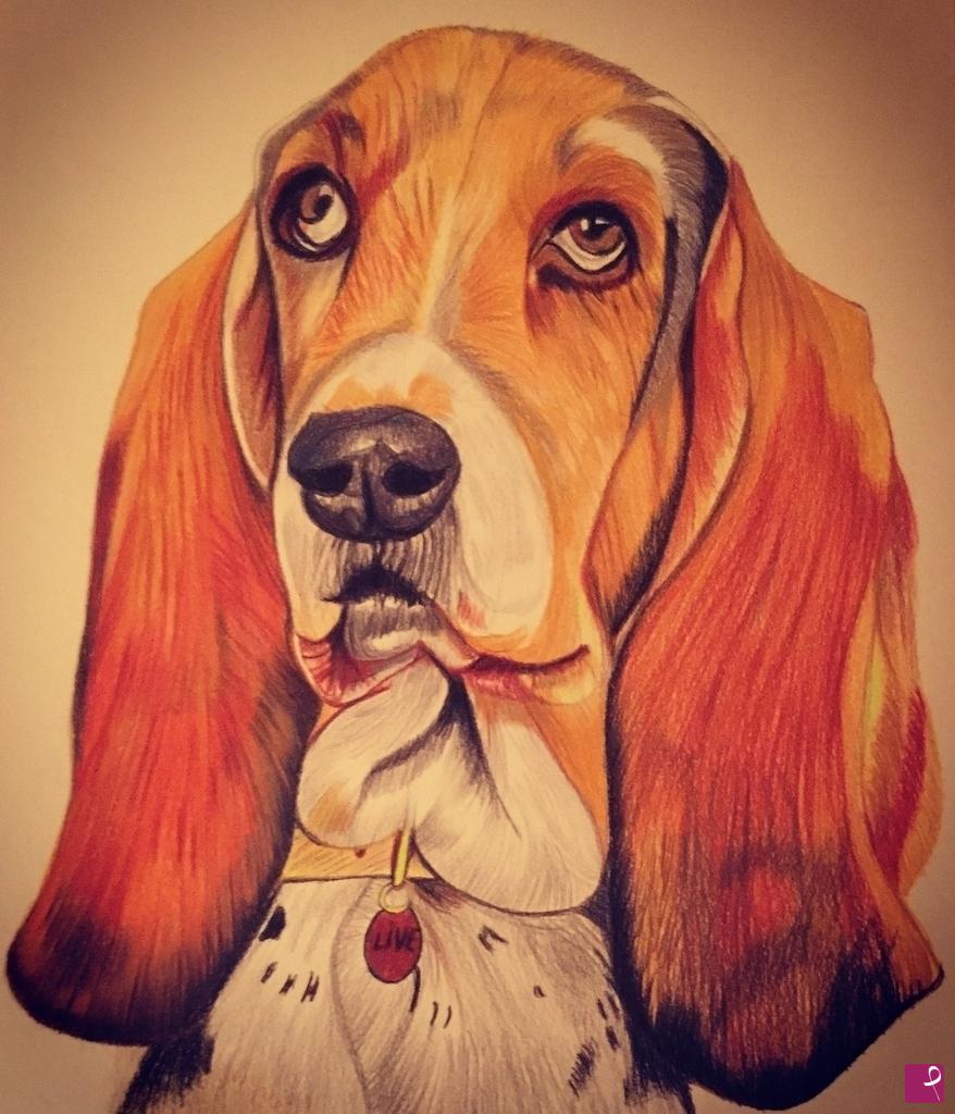 quadri in vendita online - Bassethound