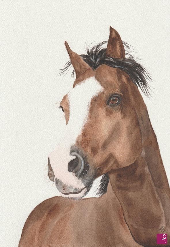quadri in vendita online - Bay horse