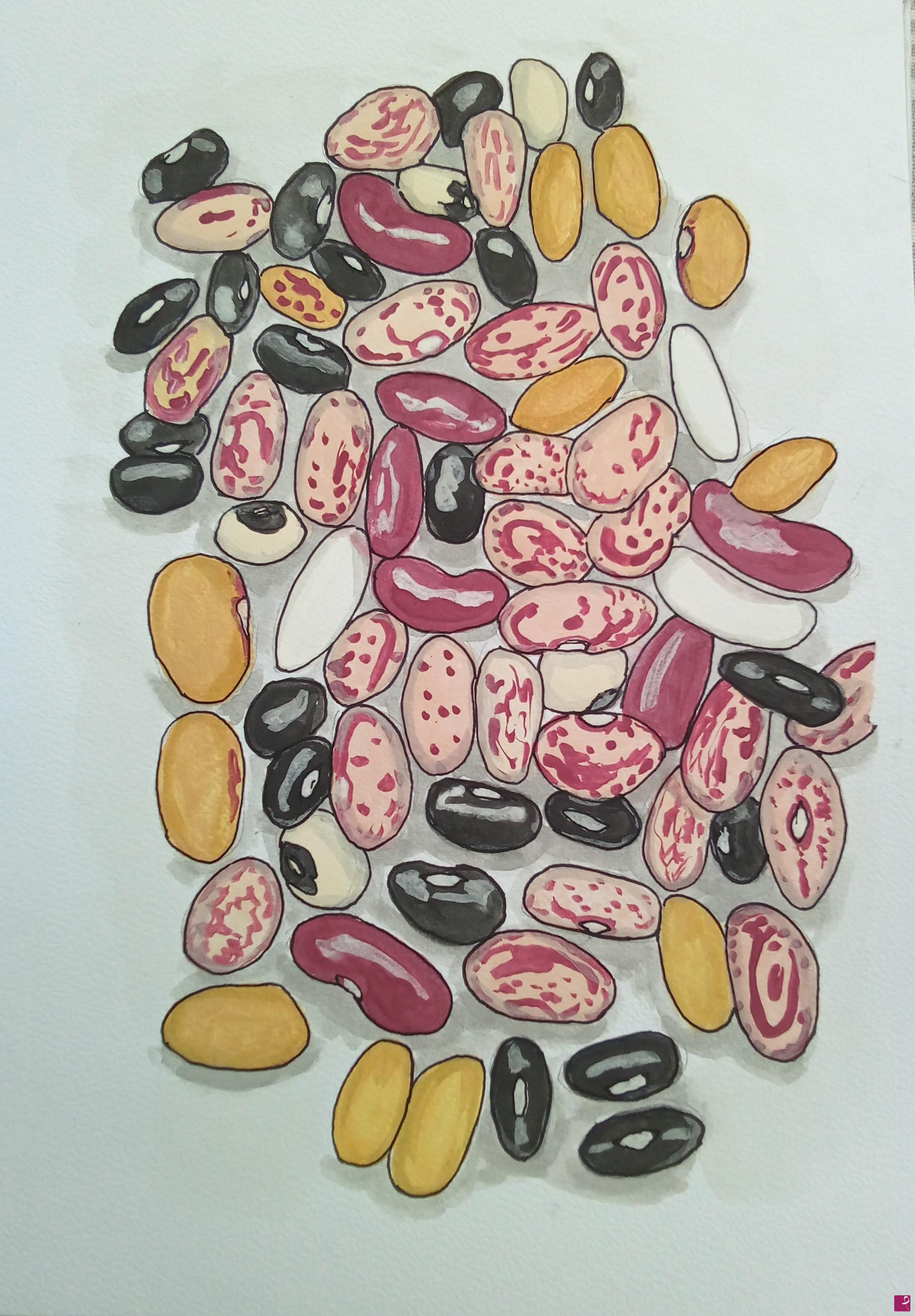 quadri in vendita online - Beans illustration - Illustrazione di fagioli 