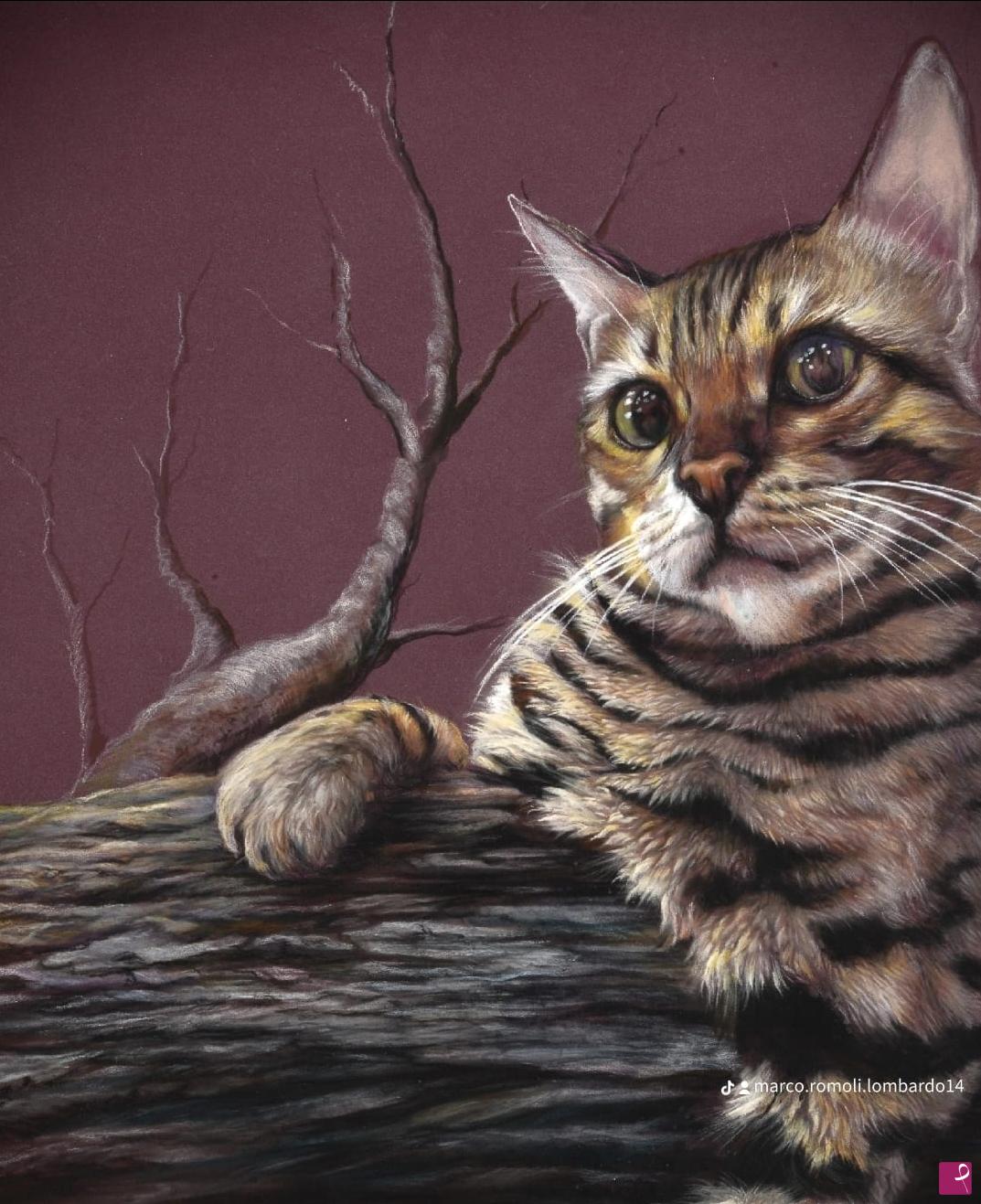 quadri in vendita online - Bengal cat