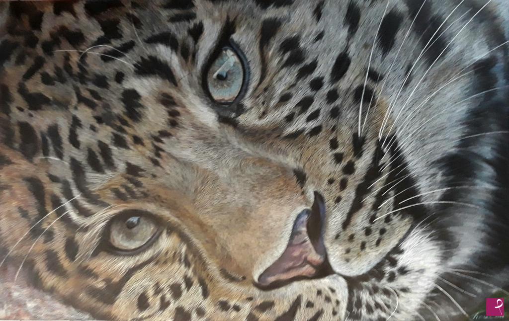 quadri in vendita online - Big Cat eyes