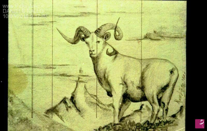 quadri in vendita online - bighorn