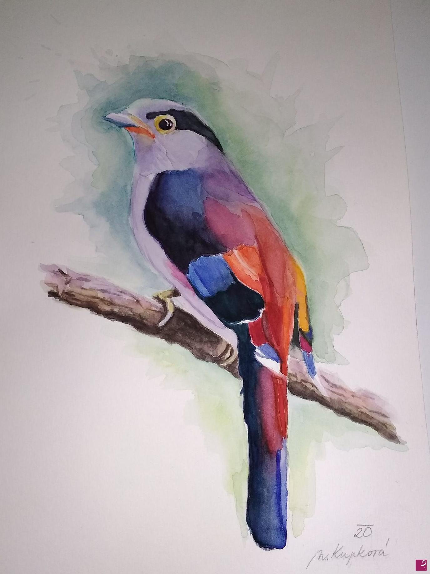 quadri in vendita online - Bird