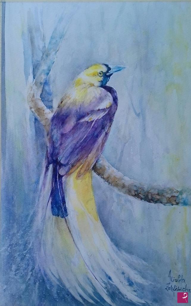 quadri in vendita online - Bird of paradise