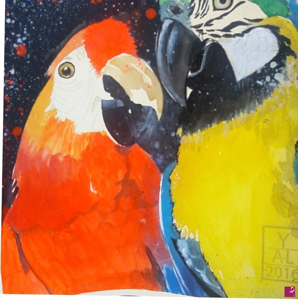 quadri in vendita online - Birds of paradise