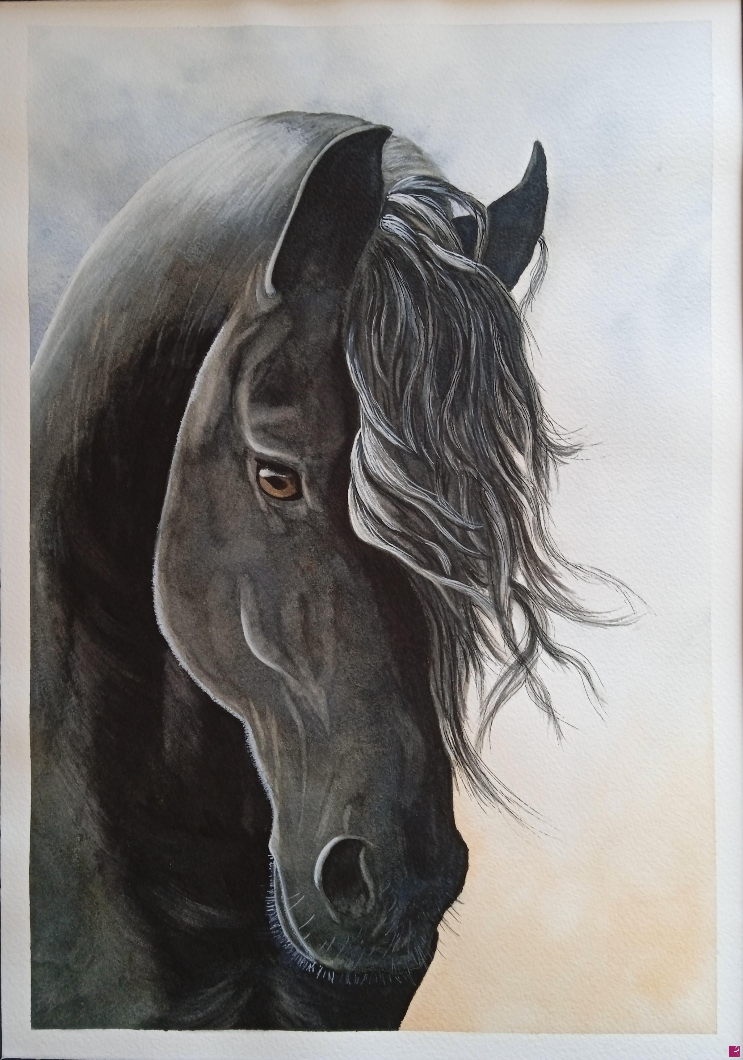 quadri in vendita online - Black beauty