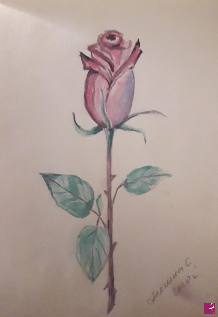 quadri in vendita online - Bocciolo  di rosa