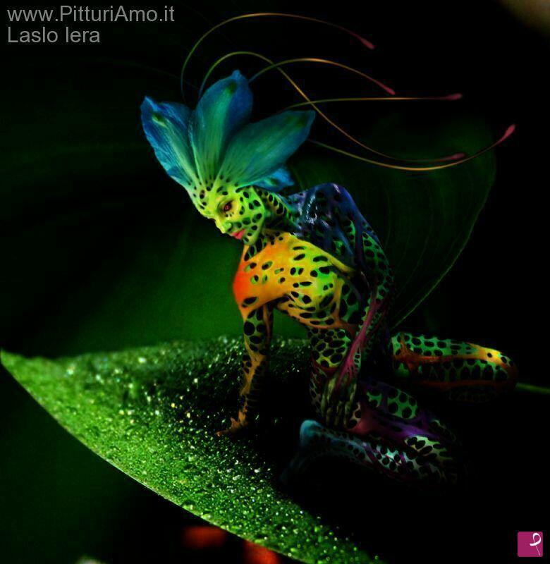 quadri in vendita online - Bodypainting 2