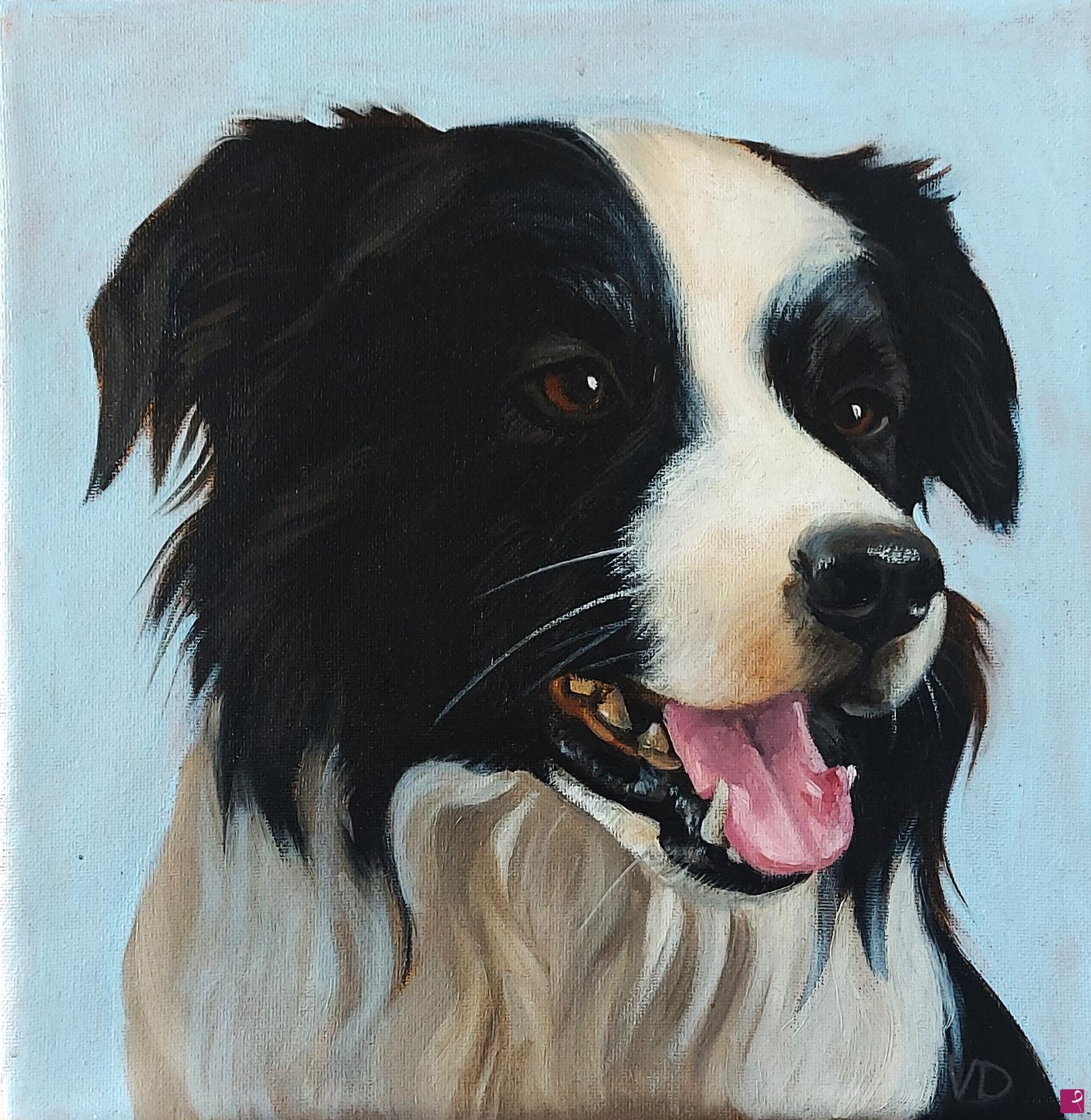 quadri in vendita online - Border Collie