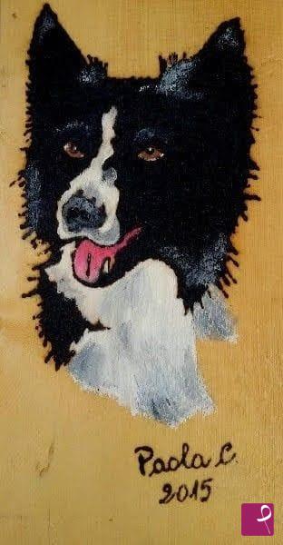 quadri in vendita online - BORDER COLLIE 