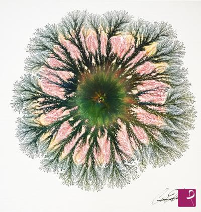 Quadro venduto su PitturiAmo
