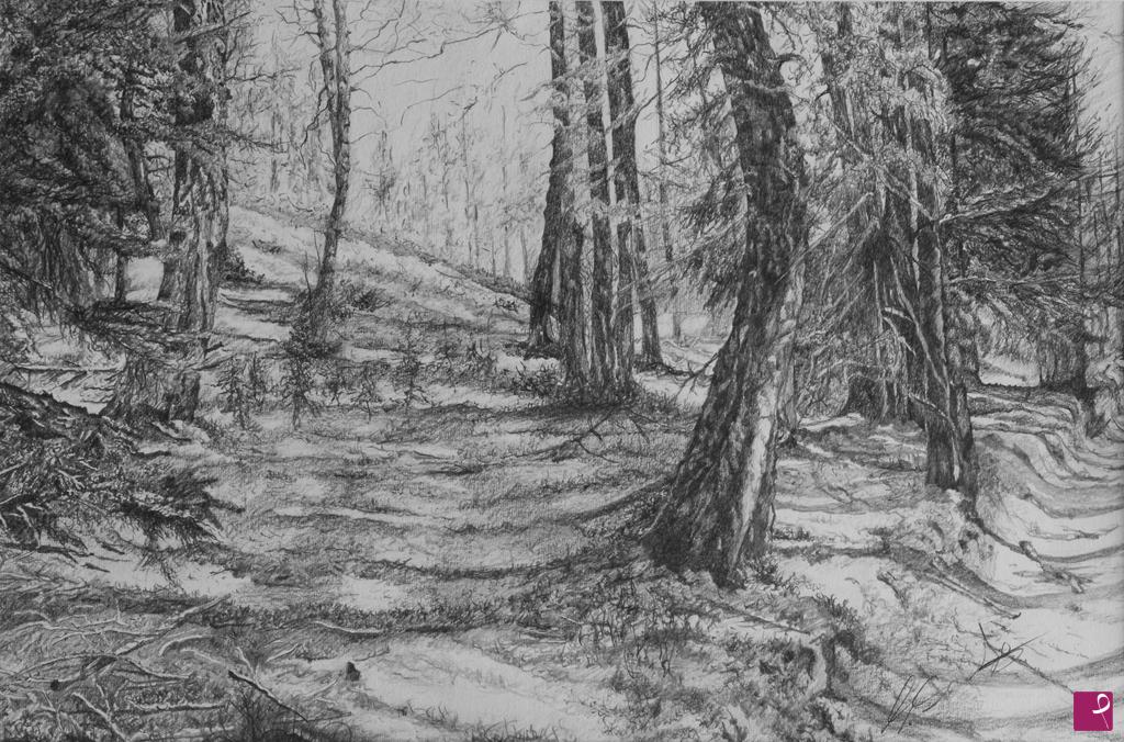 quadri in vendita online - Bosco di pini