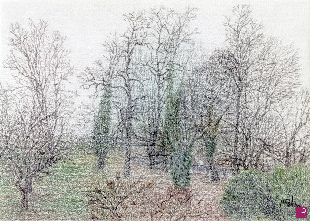 quadri in vendita online - Bosco veneto nella nebbia