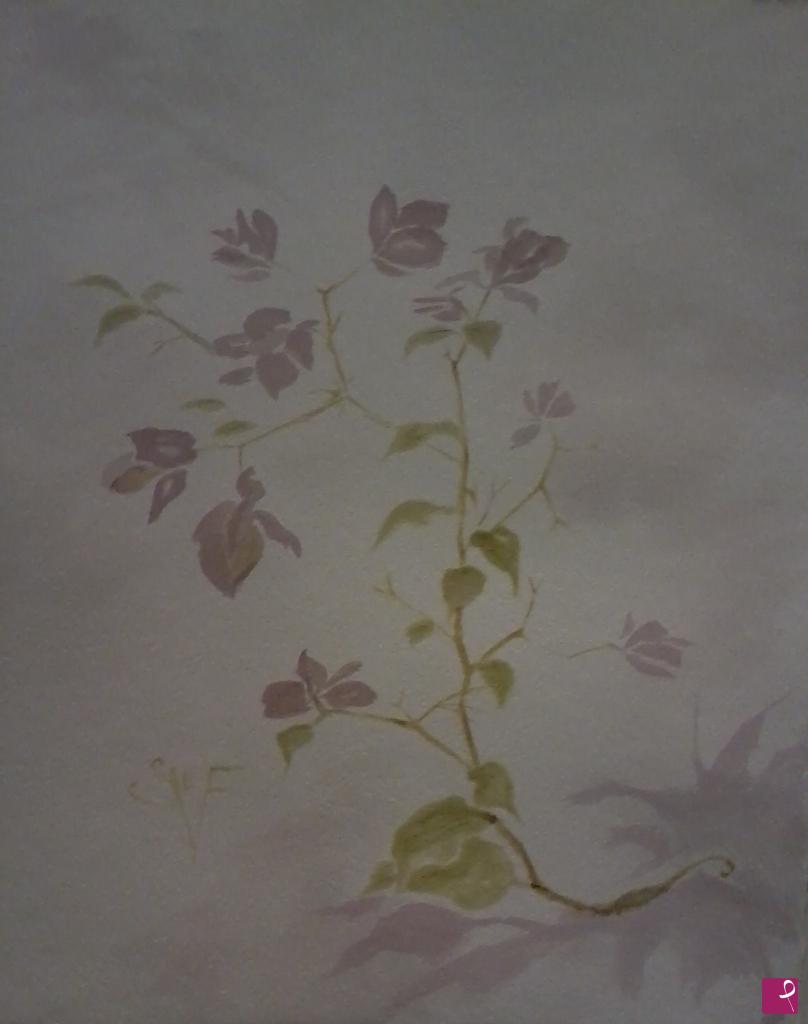 quadri in vendita online - Bougainvillea