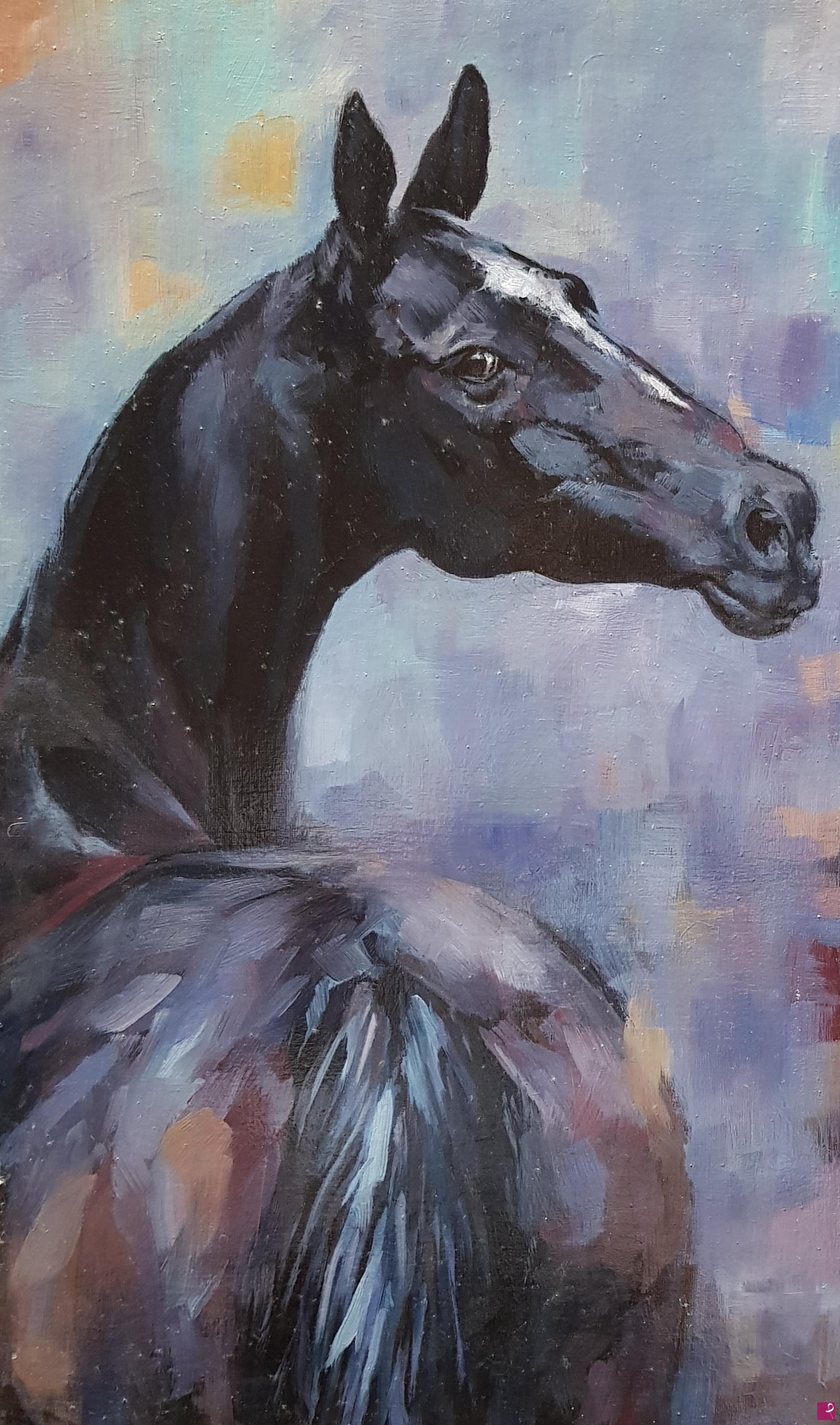quadri in vendita online - Bucephalus, il mitico cavallo di Alessandro Magno