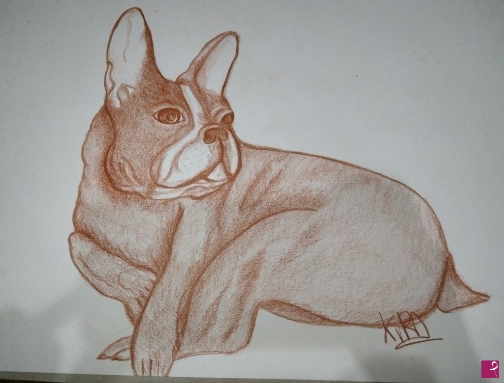 quadri in vendita online - Bulldog francese