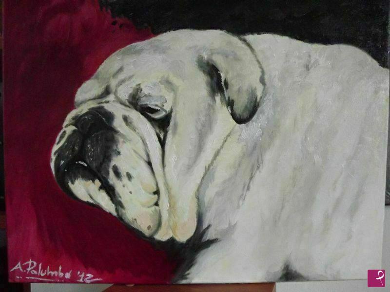 quadri in vendita online - bulldog inglese