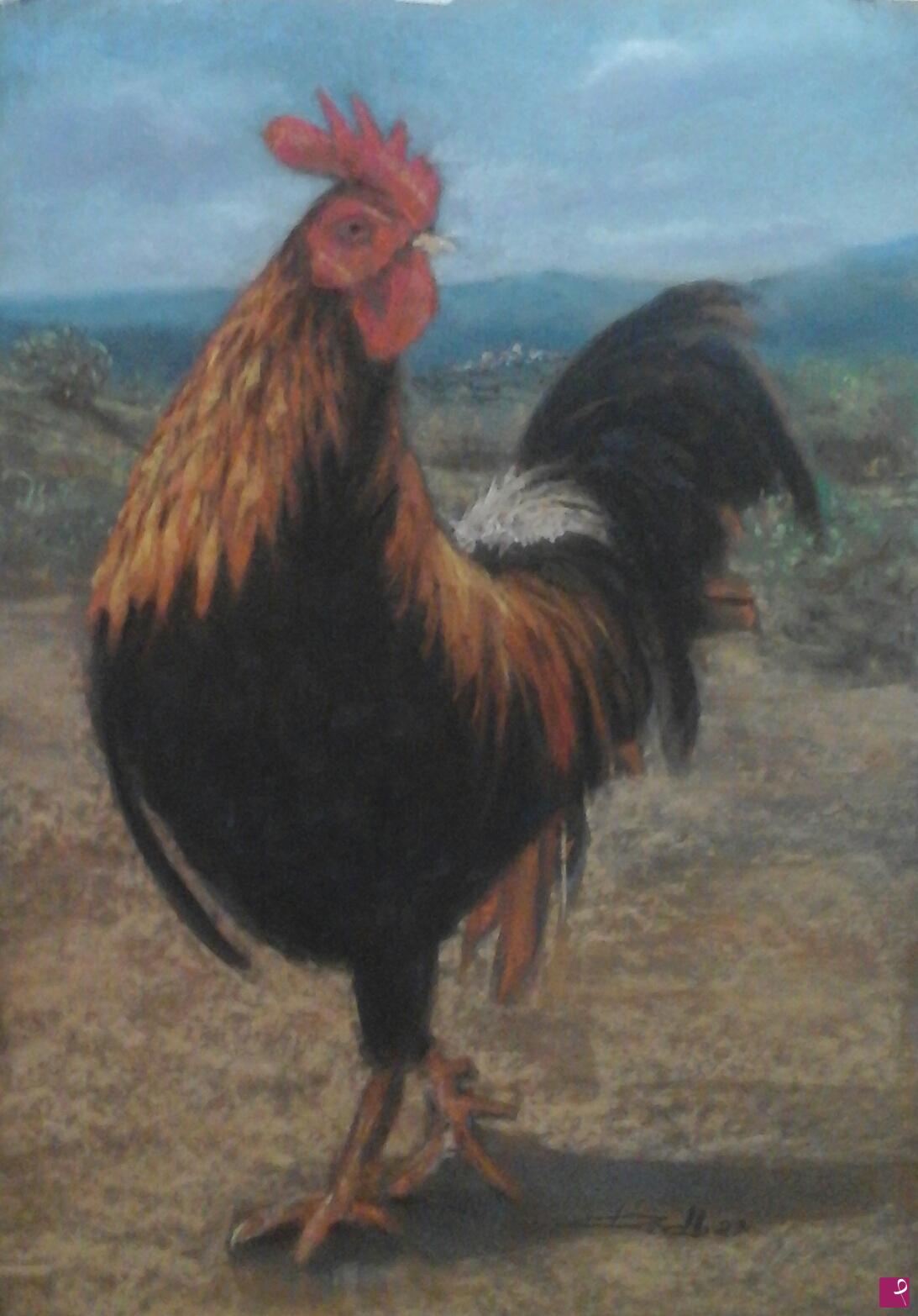 quadri in vendita online - bully rooster