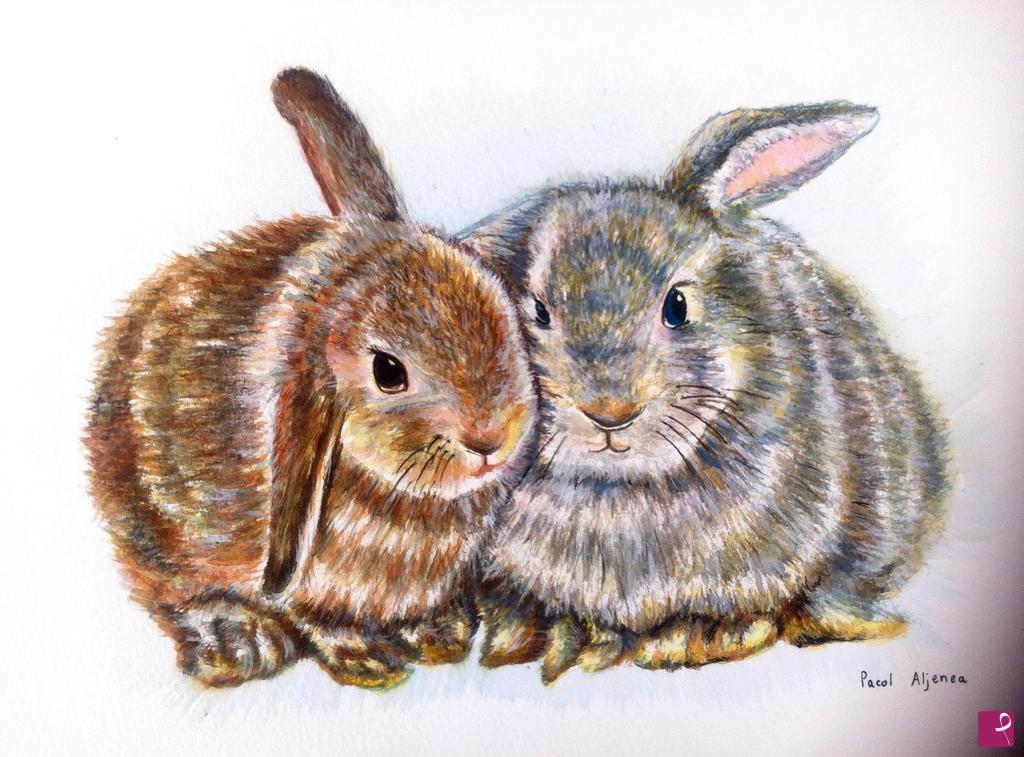 quadri in vendita online - Bunnies