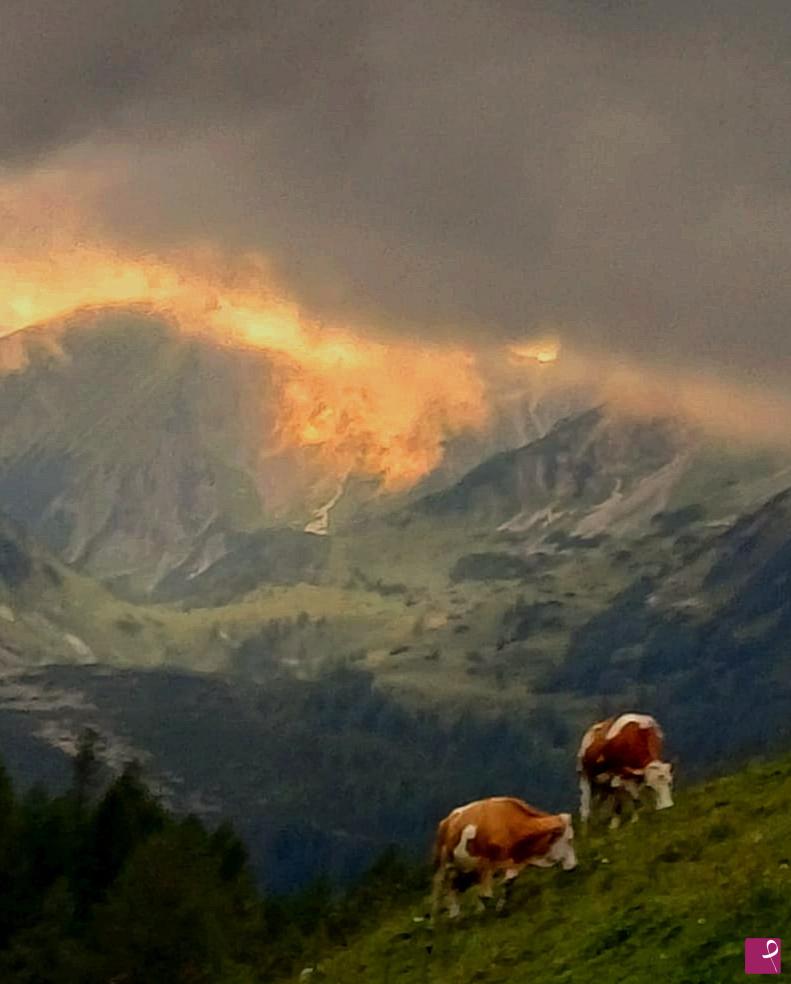 quadri in vendita online - Burning alps 