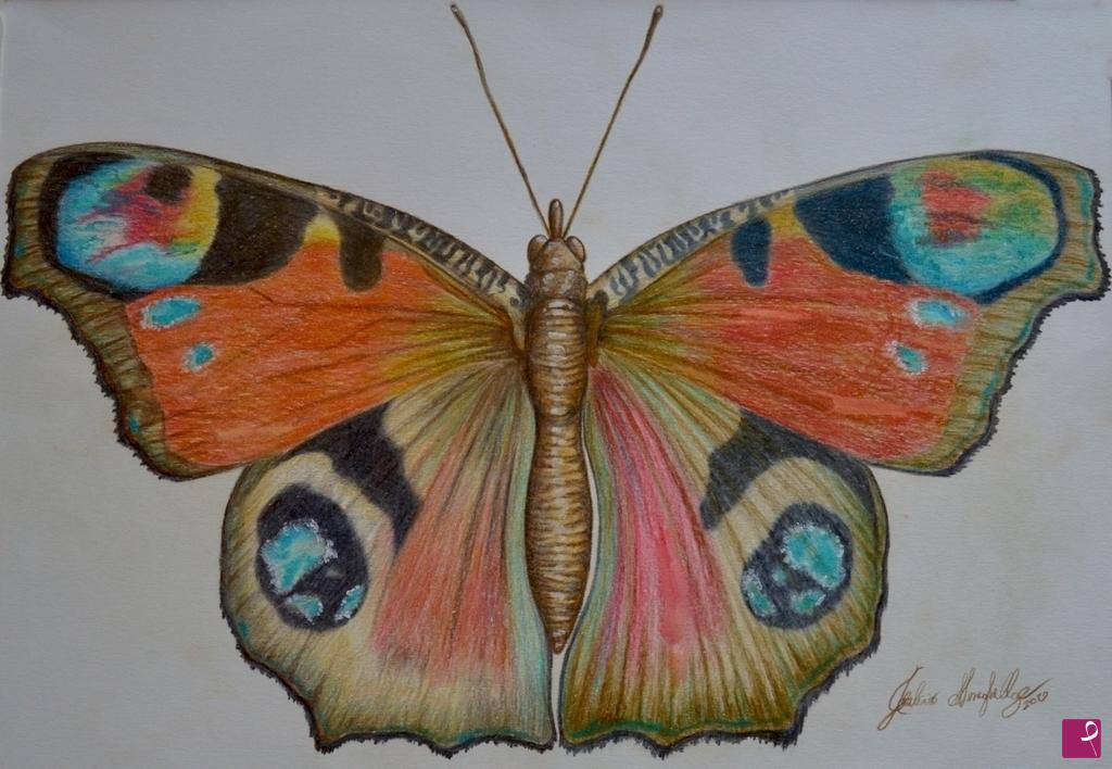 quadri in vendita online - Butterfly