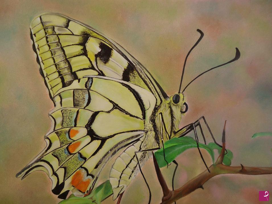 quadri in vendita online - Butterfly serie 2