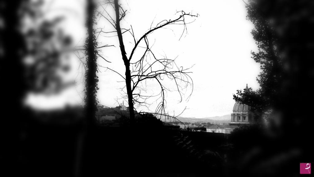 quadri in vendita online - B&W