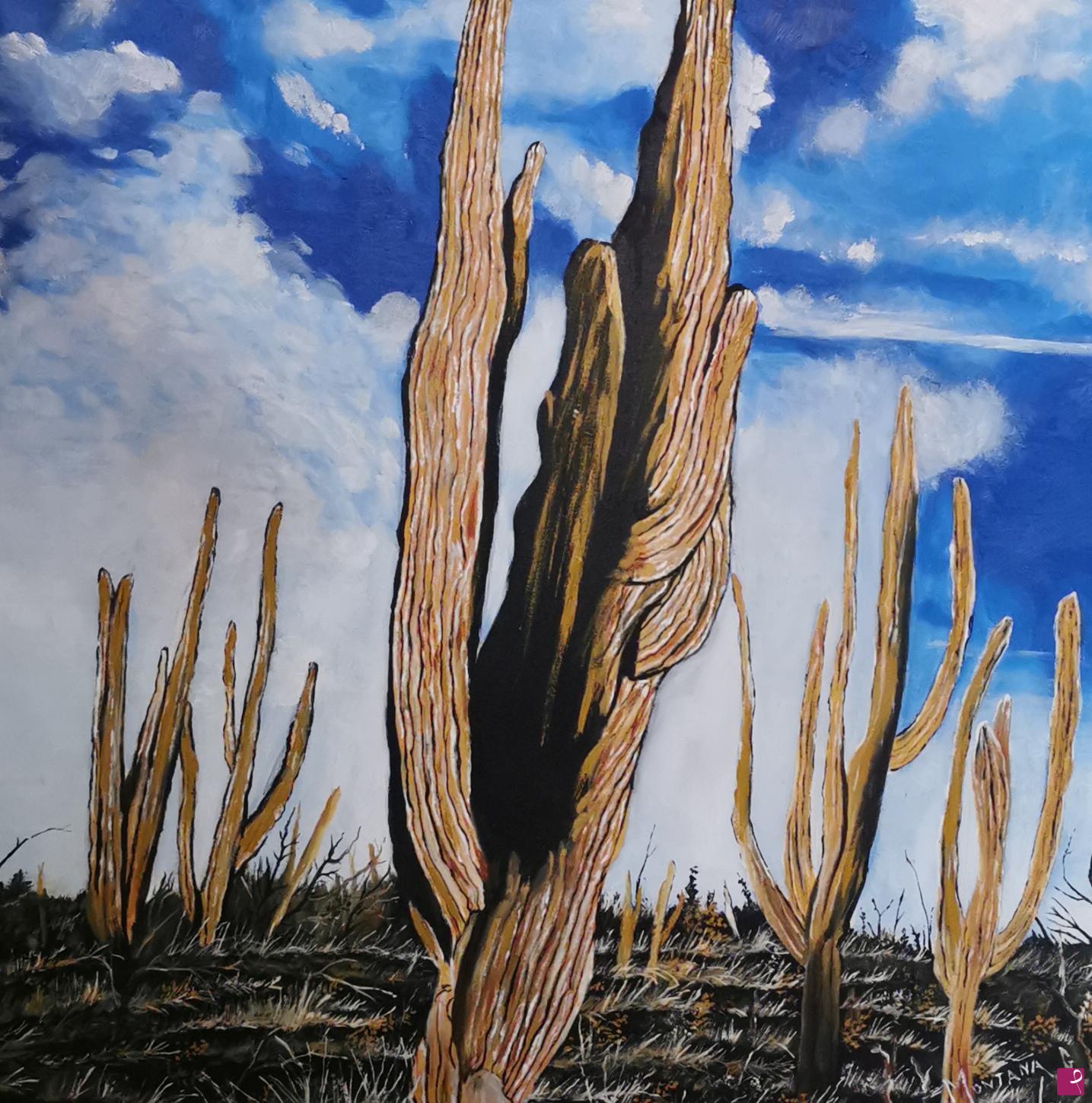 quadri in vendita online - Cactus 