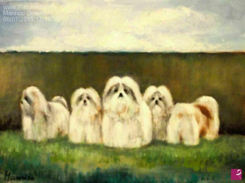 quadri in vendita online - CAGNOLINI SHIH TZU