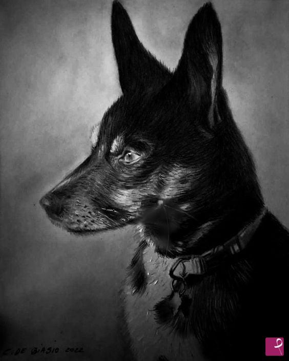quadri in vendita online - cagnolino